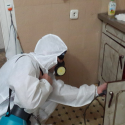 Дезинфекция от муравьев в квартире в Даниловском районе Москвы