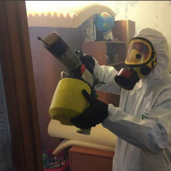 Уничтожение клопов в квартире. Даниловский район 