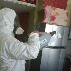 Уничтожение насекомых в квартире. Даниловский район 
